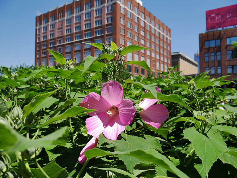 Auf der "Highline"
