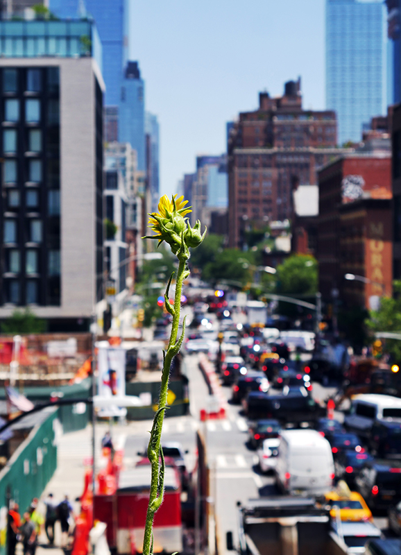 Auf der "Highline"
