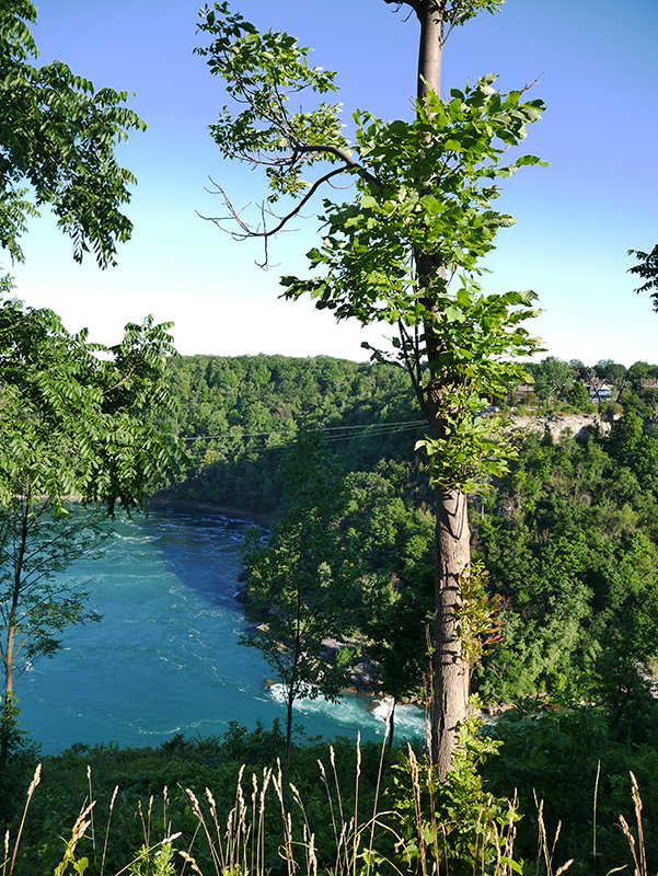 Whirlpool State Park
