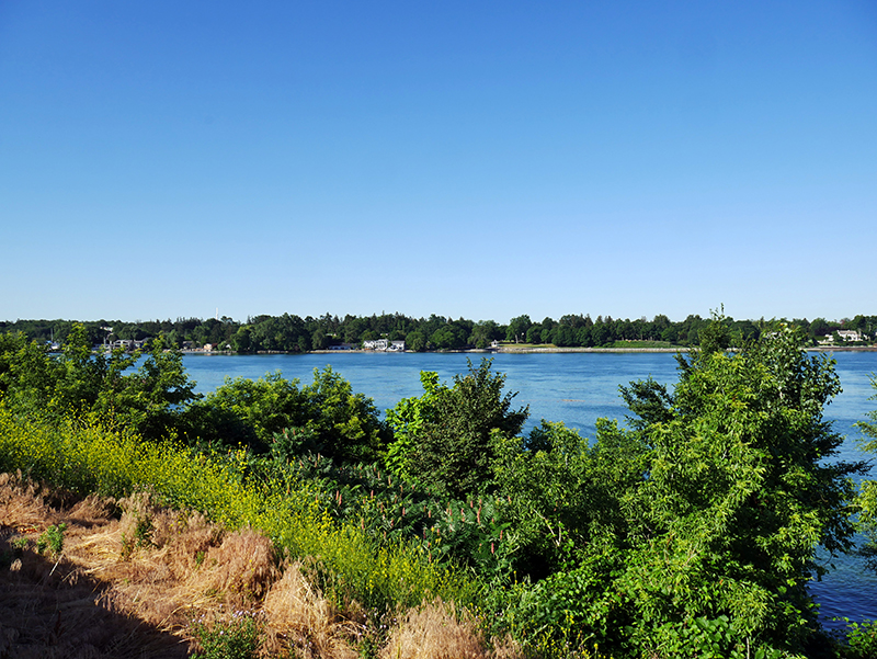 Niagara River
