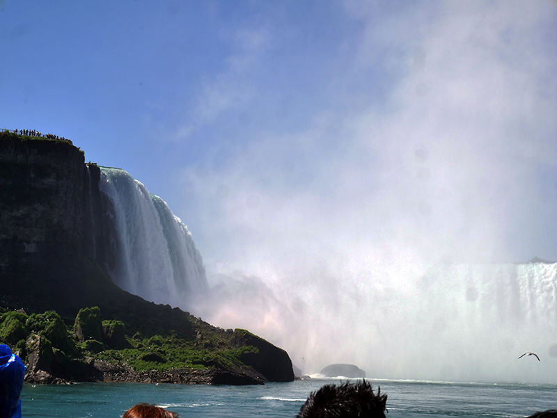 Horseshoe FallsÂ (CAN)
