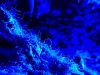 Filename=16.JPG
Filesize=380KiB
Dimensions=800x601
Date added=Dec 05, 2016 16.JPG