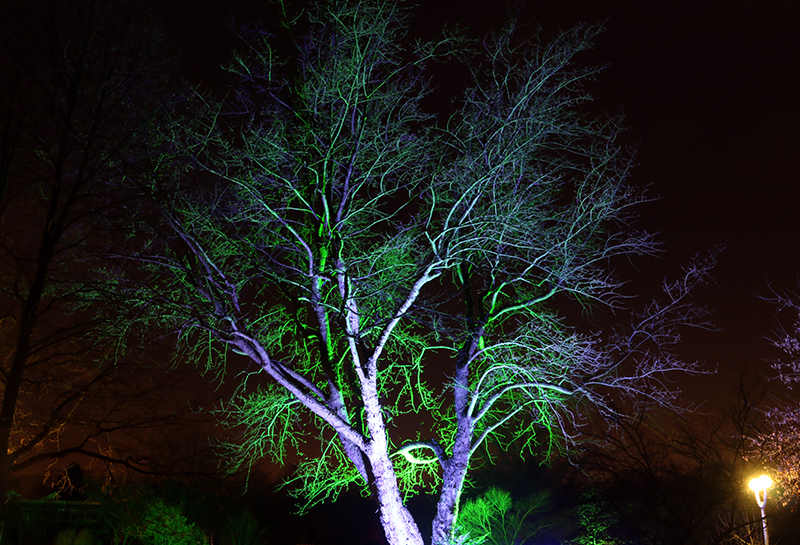 Parkleuchten Grugapark Essen
