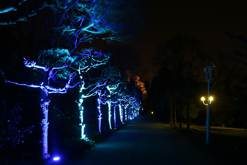 Parkleuchten Grugapark Essen
