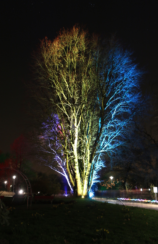 Parkleuchten Essen
