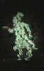 Filename=15.JPG
Filesize=209KiB
Dimensions=500x800
Date added=Mar 14, 2016 15.JPG