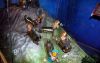 Filename=17.JPG
Filesize=139KiB
Dimensions=800x511
Date added=May 31, 2011 17.JPG