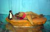 Filename=19.JPG
Filesize=103KiB
Dimensions=800x520
Date added=May 31, 2011 19.JPG
