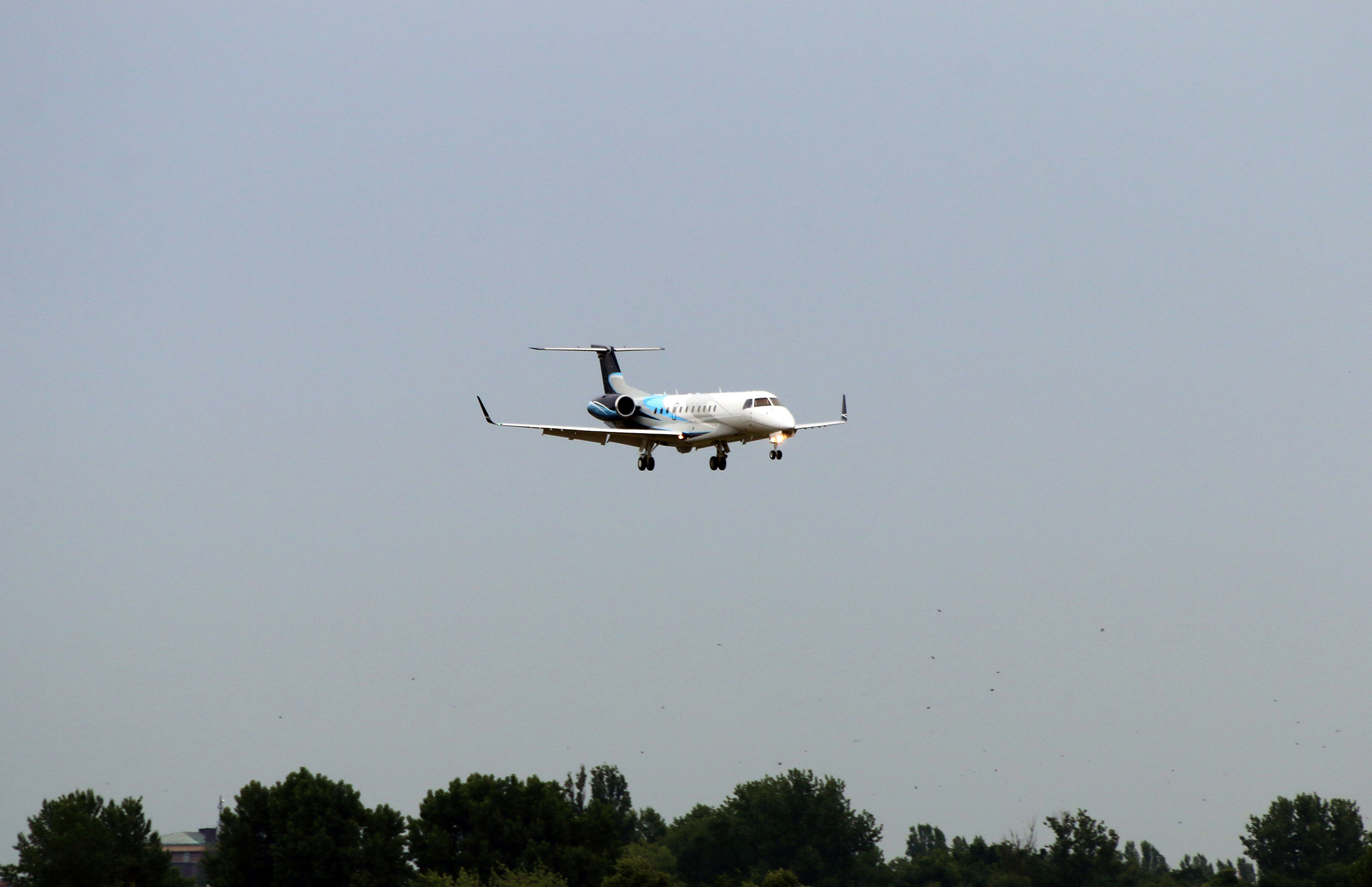 Die Embraer Legacy 650 - mit Queen Elisabeth II und Prinz Philip
