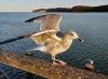 Filename=30.jpg
Filesize=315KiB
Dimensions=800x591
Date added=Oct 19, 2022 30.jpg
