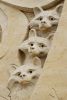 Filename=41.JPG
Filesize=253KiB
Dimensions=537x800
Date added=Oct 19, 2022 41.JPG