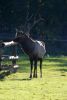Filename=23.JPG
Filesize=252KiB
Dimensions=800x1187
Date added=Nov 09, 2011 23.JPG