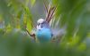 Filename=37.JPG
Filesize=67KiB
Dimensions=800x508
Date added=Nov 09, 2011 37.JPG