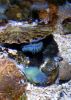 Filename=12.JPG
Filesize=147KiB
Dimensions=569x800
Date added=May 15, 2011 12.JPG