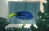 Filename=26.JPG
Filesize=67KiB
Dimensions=800x514
Date added=May 15, 2011 26.JPG