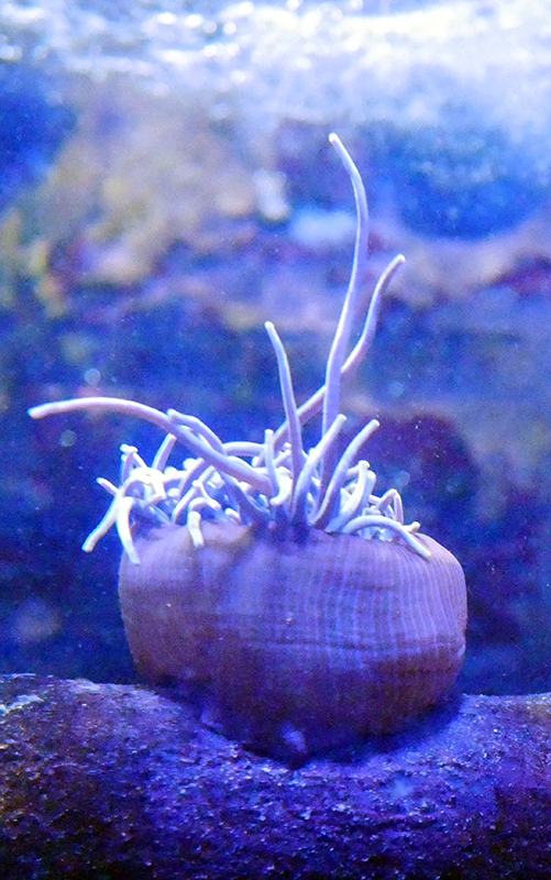 Sealife Oberhausen
