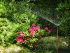 Filename=10.JPG
Filesize=928KiB
Dimensions=800x601
Date added=Jun 17, 2020 10.JPG