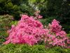 Filename=18.JPG
Filesize=918KiB
Dimensions=800x601
Date added=Jun 17, 2020 18.JPG