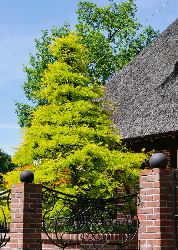 Heide Park Soltau
