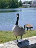 Filename=24.JPG
Filesize=602KiB
Dimensions=602x800
Date added=Jun 12, 2017 24.JPG