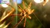 Filename=13.JPG
Filesize=233KiB
Dimensions=800x457
Date added=Nov 20, 2013 13.JPG