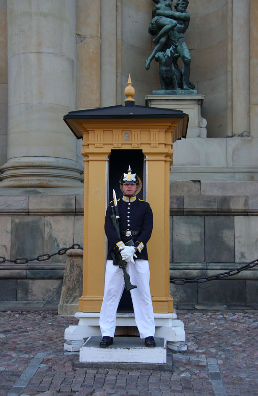 Eine Wache vor dem Schloss
