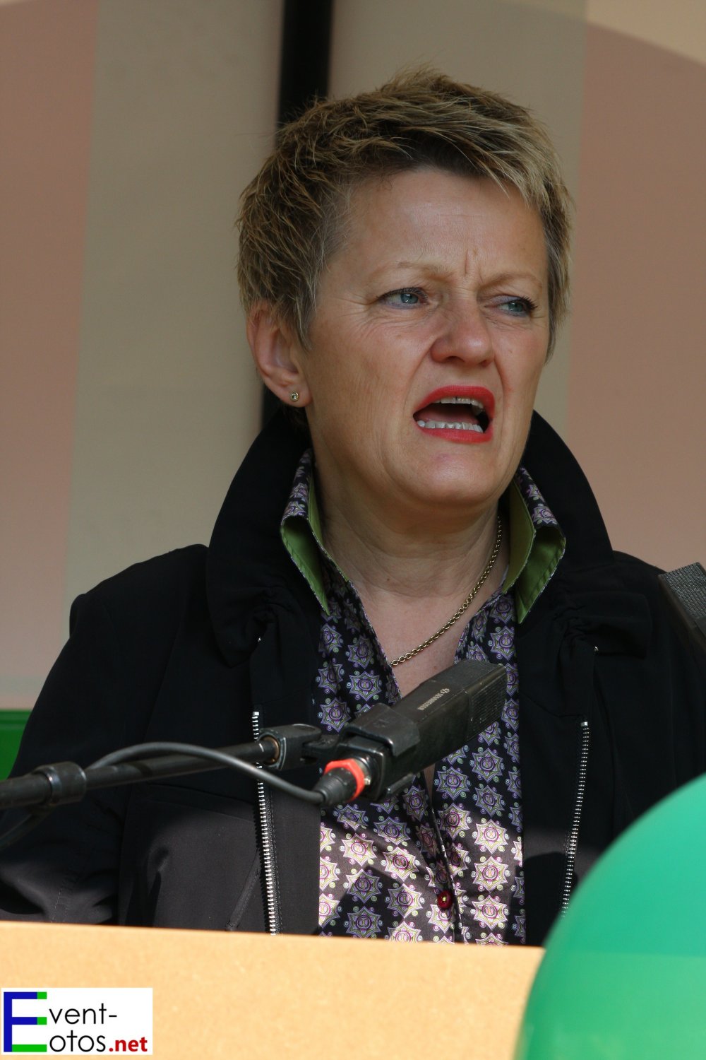 Renate KÃ¼nast (Die GrÃ¼nen)
