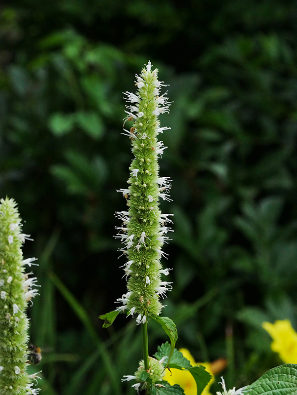 Natur im Park
