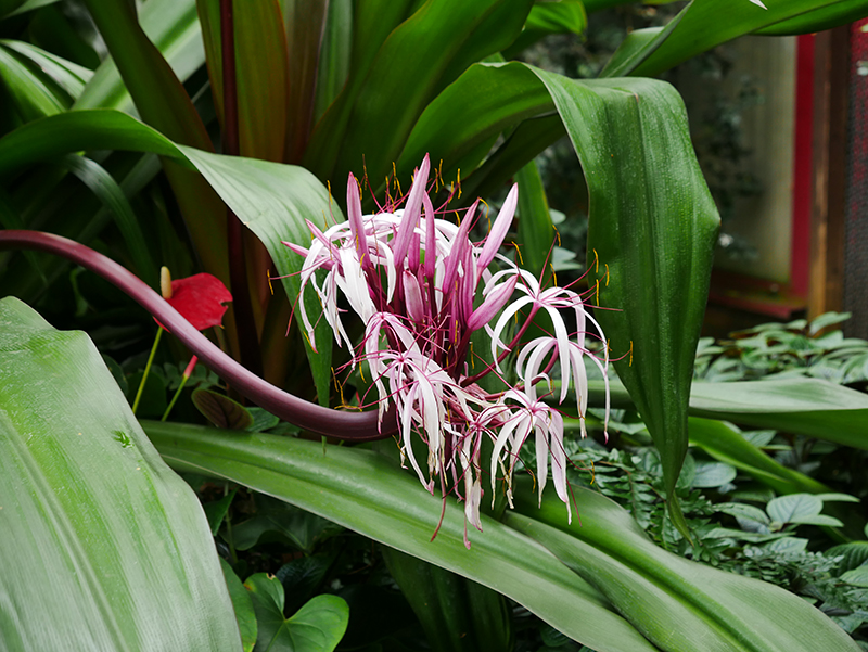 Natur im Park
