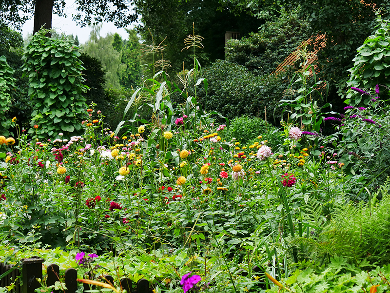 Natur im Park
