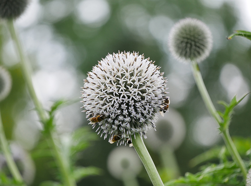 Natur im Park
