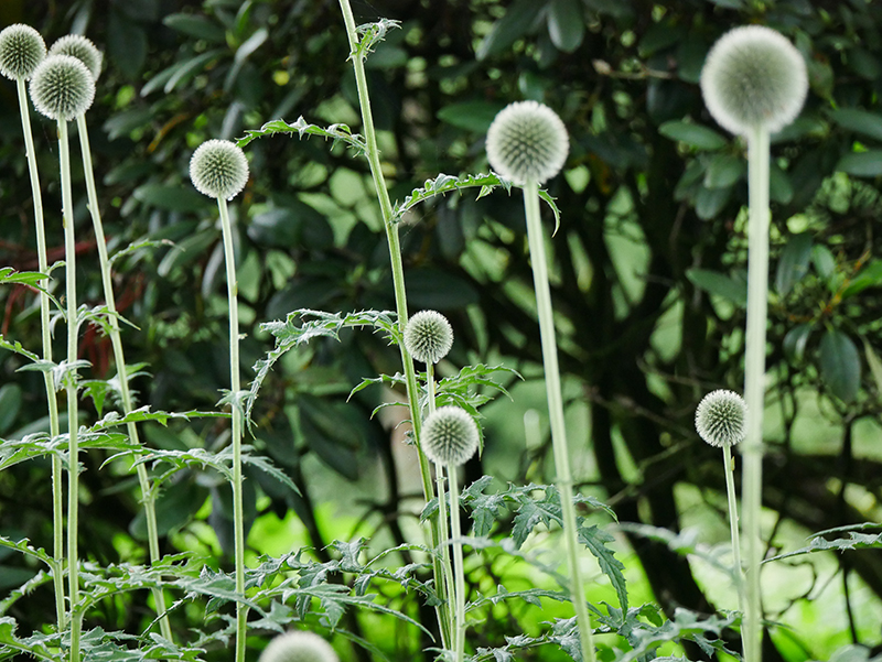 Natur im Park
