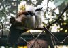 Filename=63.JPG
Filesize=386KiB
Dimensions=800x572
Date added=Aug 08, 2017 63.JPG