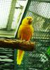 Filename=79.JPG
Filesize=596KiB
Dimensions=575x800
Date added=Aug 08, 2017 79.JPG