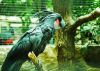 Filename=80.JPG
Filesize=474KiB
Dimensions=800x573
Date added=Aug 08, 2017 80.JPG