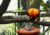 Filename=81.JPG
Filesize=430KiB
Dimensions=800x574
Date added=Aug 08, 2017 81.JPG