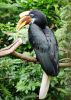 Filename=86.JPG
Filesize=517KiB
Dimensions=570x800
Date added=Aug 08, 2017 86.JPG