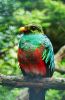 Filename=90.JPG
Filesize=447KiB
Dimensions=520x800
Date added=Aug 08, 2017 90.JPG
