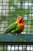 Filename=94.JPG
Filesize=404KiB
Dimensions=525x800
Date added=Aug 08, 2017 94.JPG
