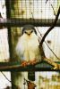 Filename=97.JPG
Filesize=415KiB
Dimensions=537x800
Date added=Aug 08, 2017 97.JPG