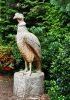 Filename=99.JPG
Filesize=826KiB
Dimensions=567x800
Date added=Aug 08, 2017 99.JPG