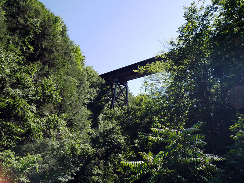 Watkins Glen State Park
