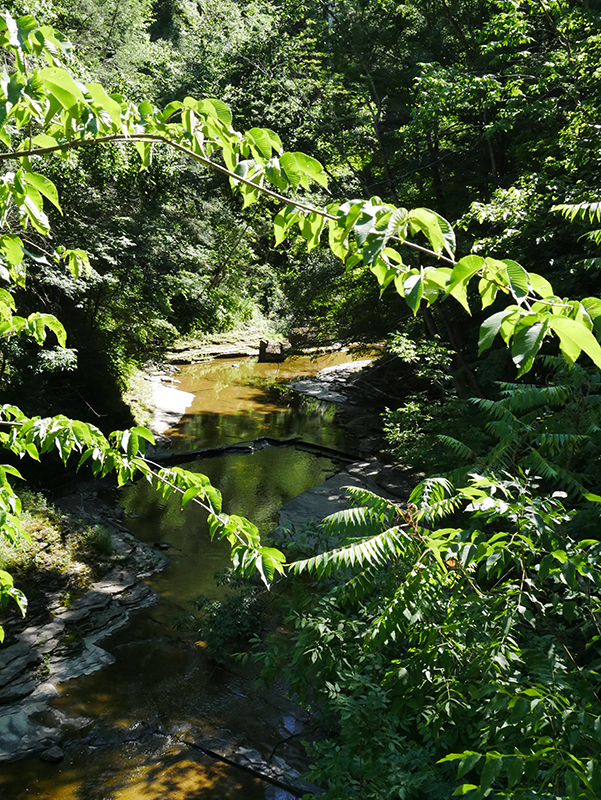 Watkins Glen State Park
