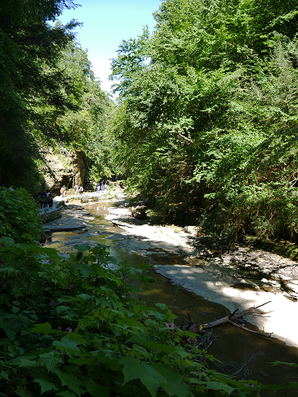 Watkins Glen State Park
