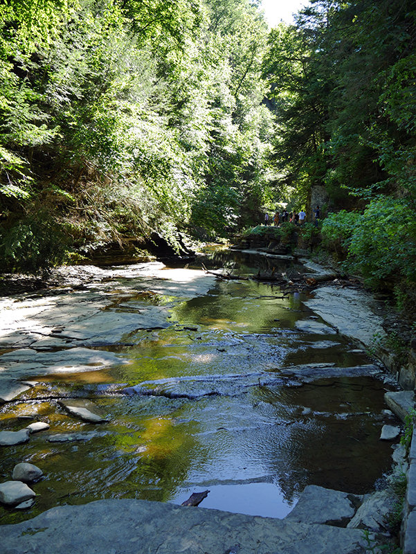 Watkins Glen State Park
