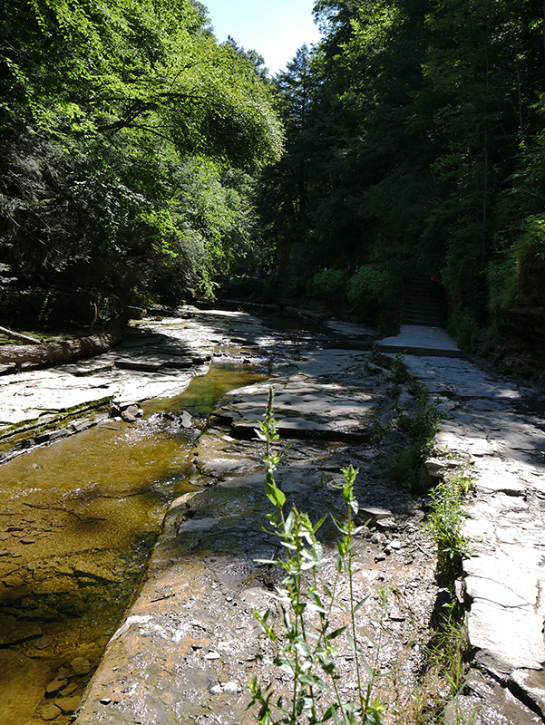 Watkins Glen State Park
