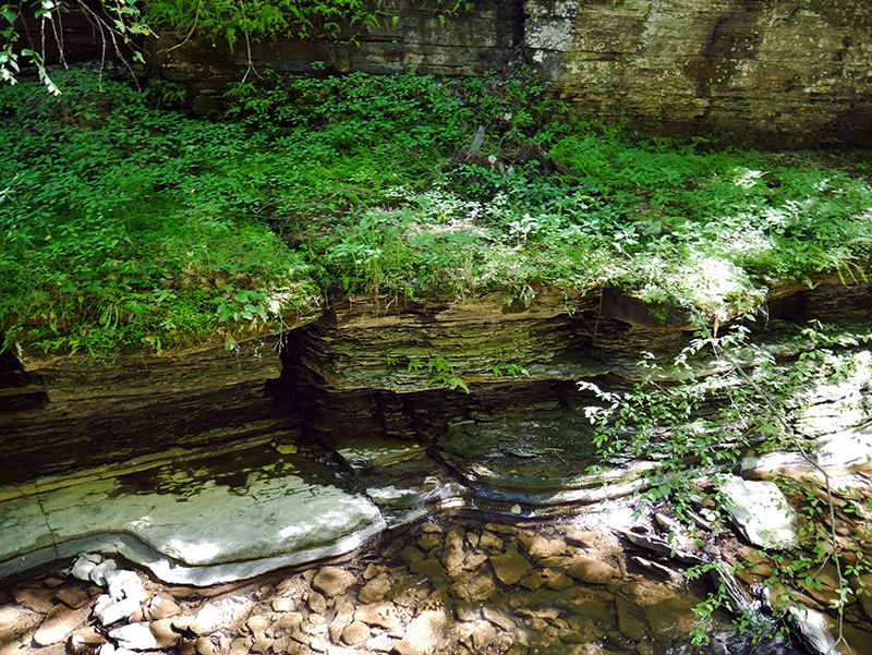 Watkins Glen State Park
