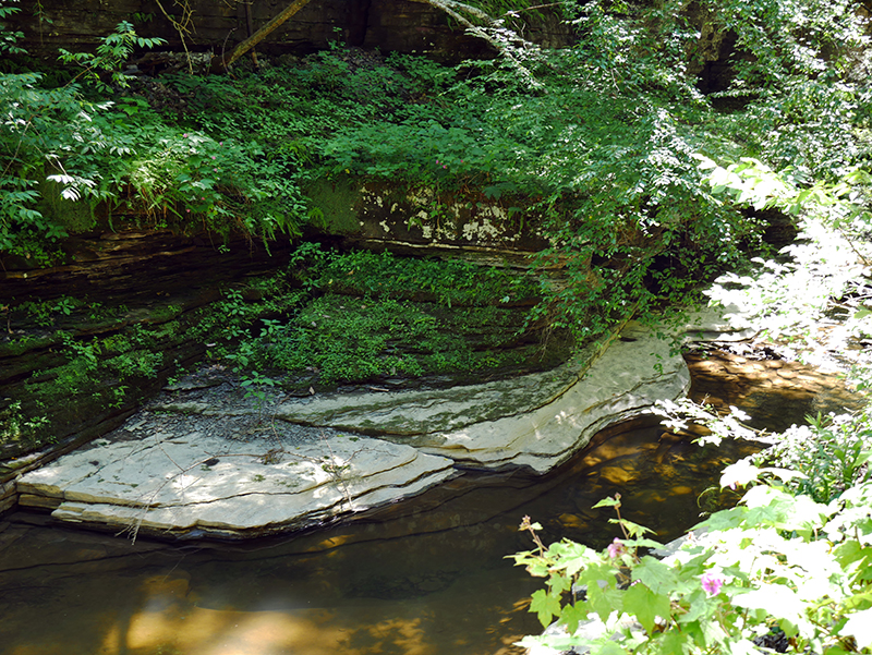 Watkins Glen State Park
