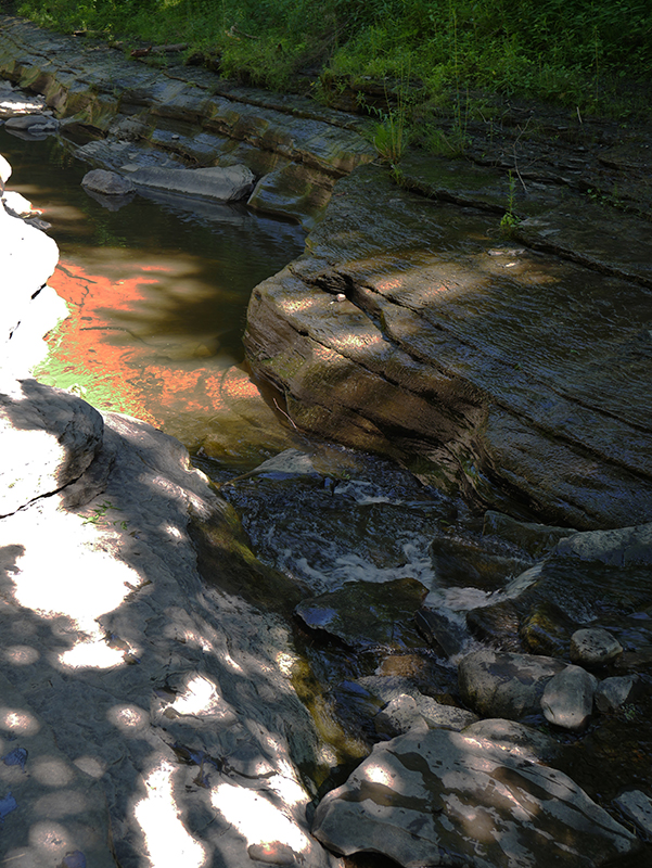 Watkins Glen State Park
