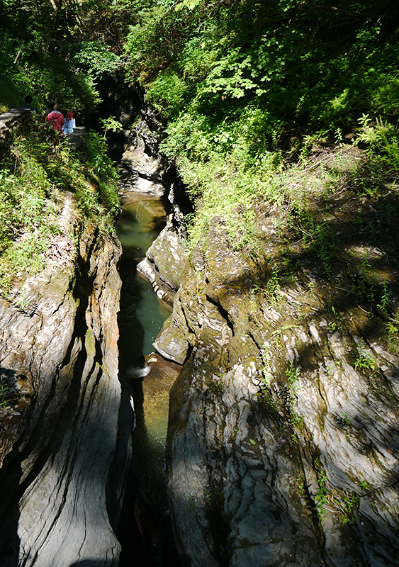 Watkins Glen State Park
